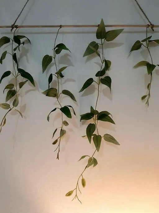 Bliss Juju Apartment Seoul South Korea